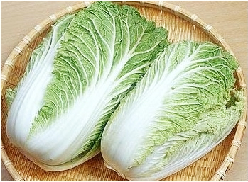 白菜